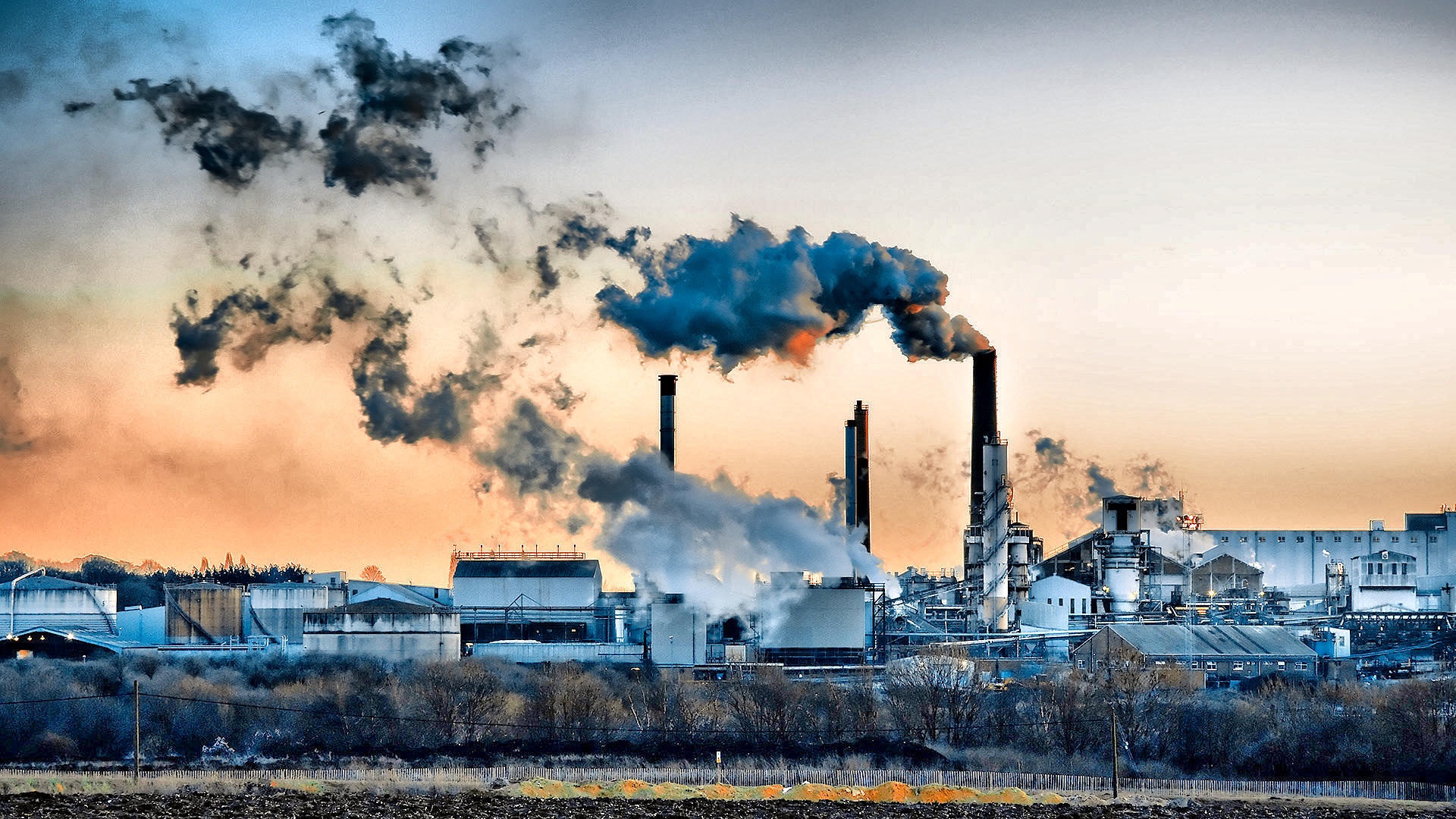 Lubricants And Grases